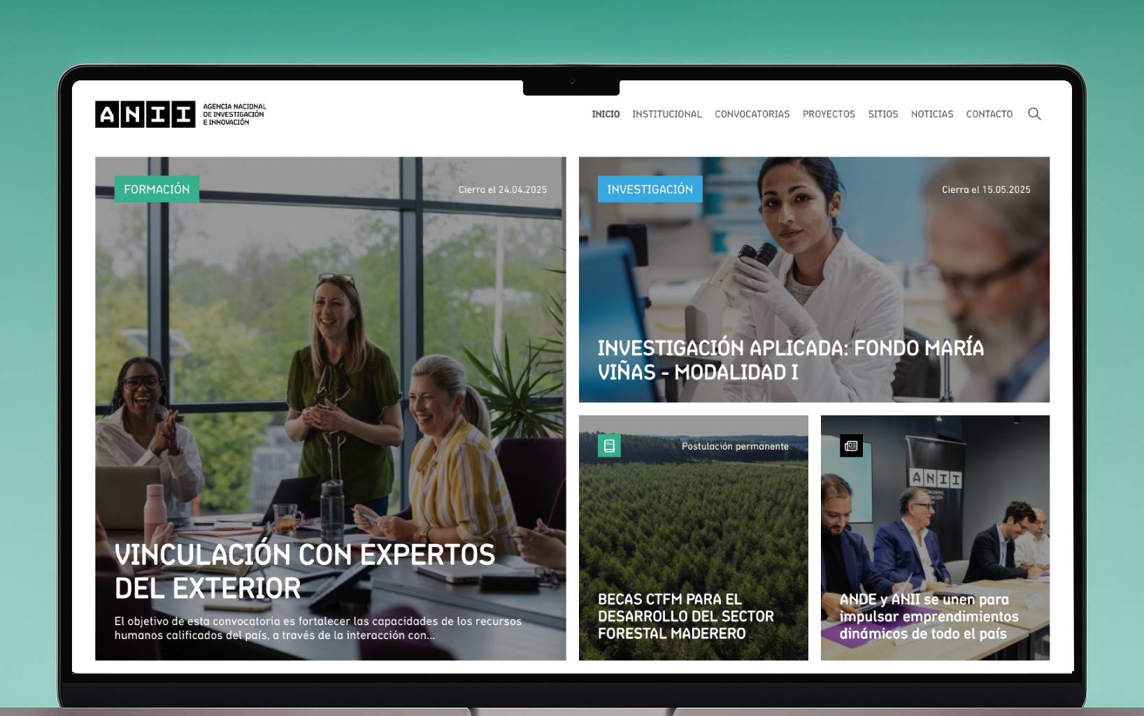 Project showcase image